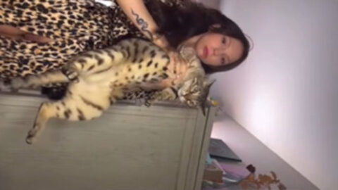 Oops video